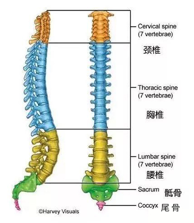 微信图片_20200103162732.jpg