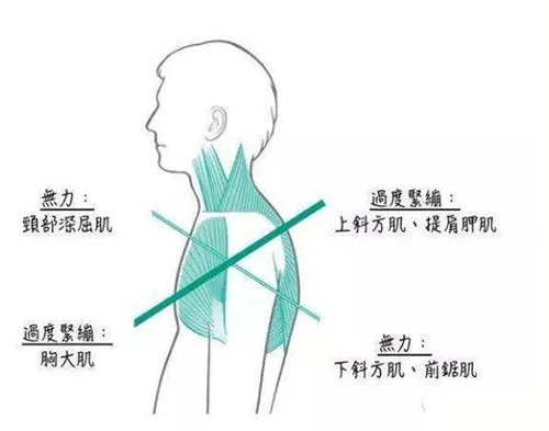 微信图片_20200103164026.jpg