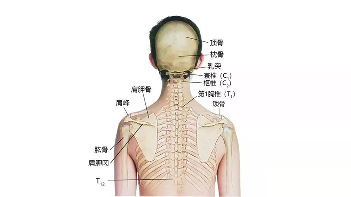 微信图片_20200107091209.jpg