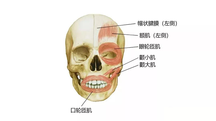 微信图片_20200107091217.jpg