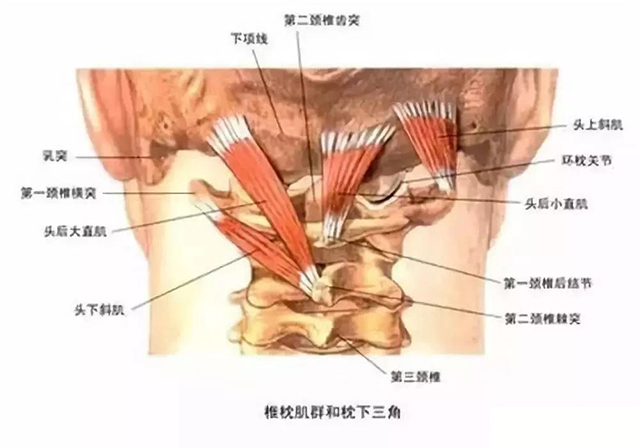 微信图片_20200110155432.jpg