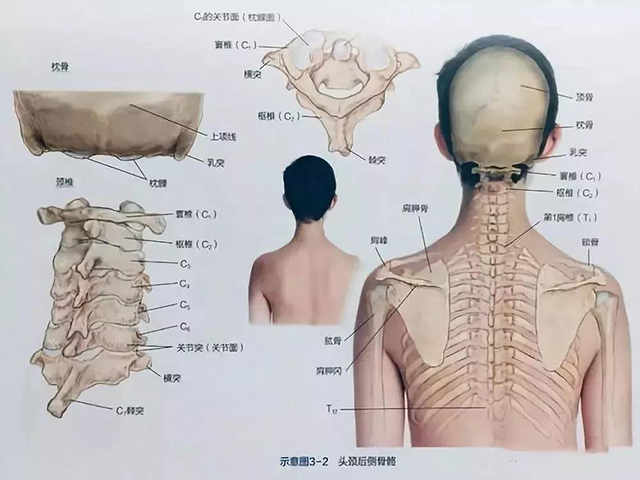 微信图片_20200110155434.jpg